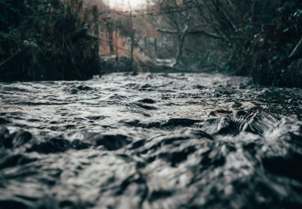 pexels-joecory94-6653948