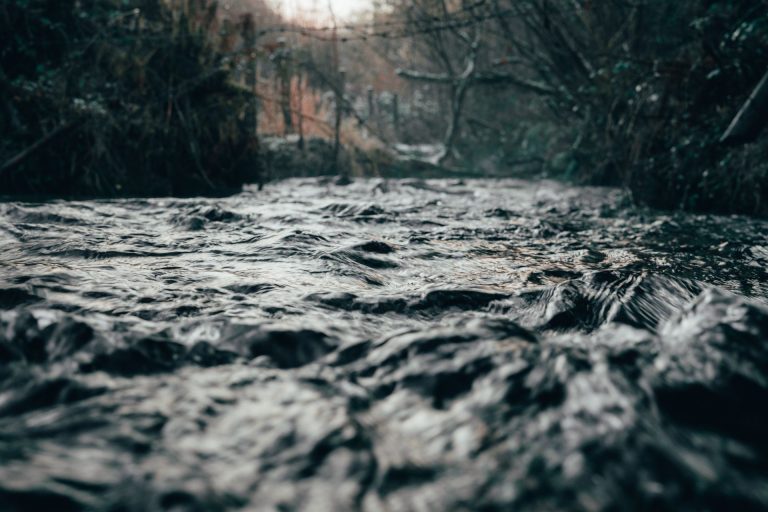 pexels-joecory94-6653948